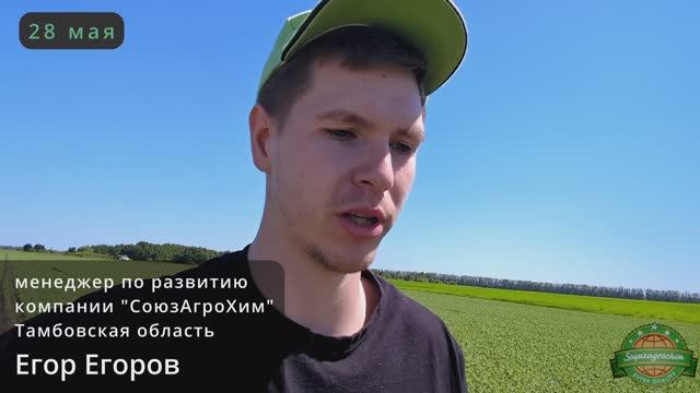 Применение гербицида Геронт, МКЭ в посевах гороха