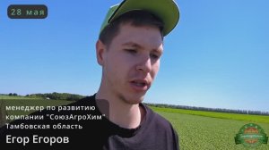 Применение гербицида Геронт, МКЭ в посевах гороха