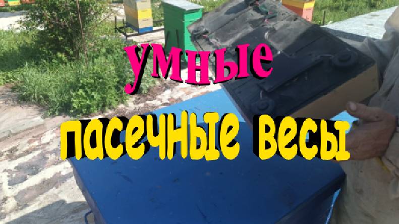 Пасечные весы дешево и функционально