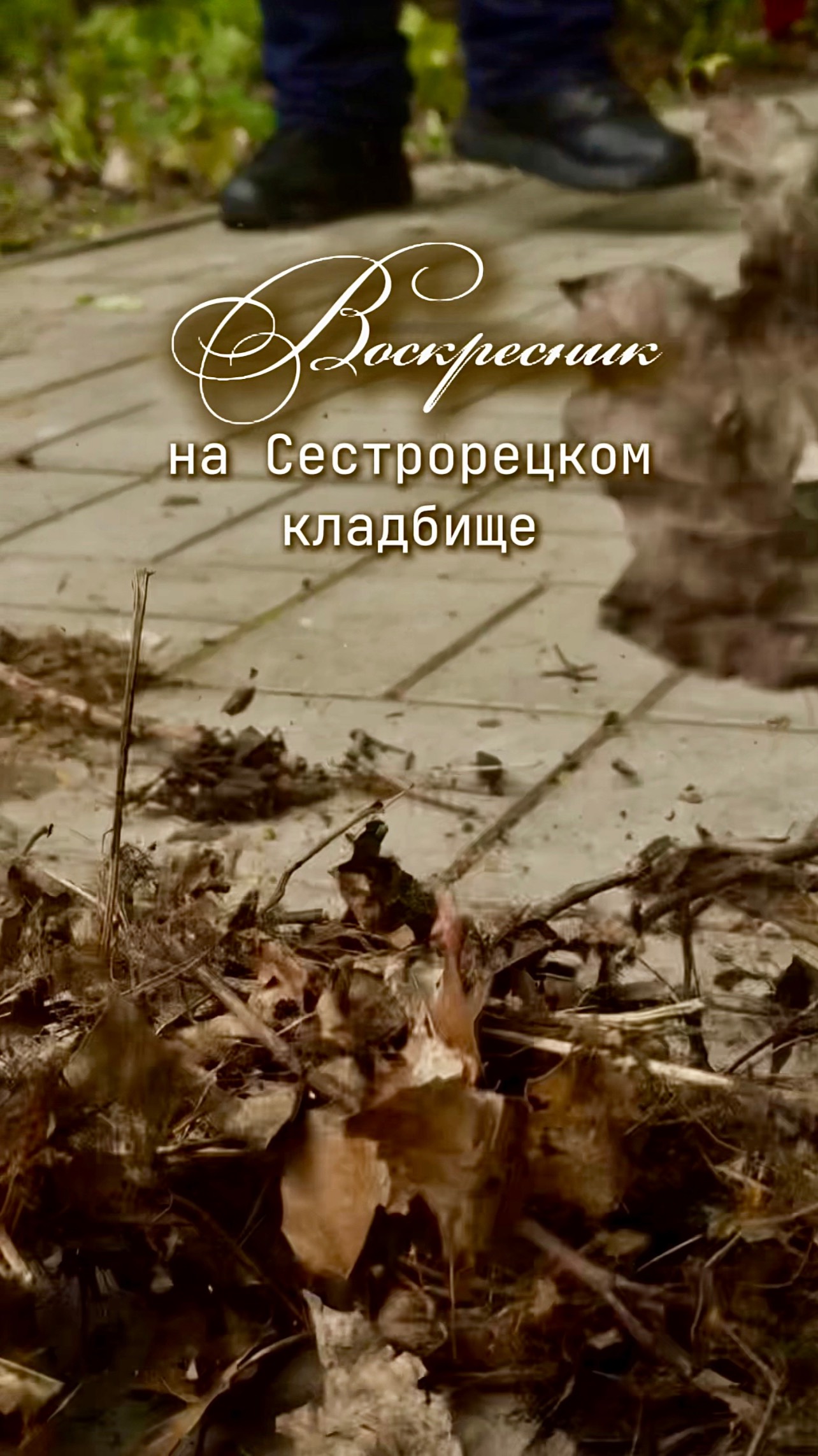 Воскресник на еврейском кладбище в Сестрорецке.