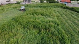 Синий Трактор МТЗ-80, Сенокос 2022