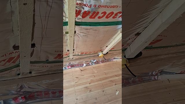 1000026873.mp4 (Собака смотрит на планирование электропроводки на кухне в доме А-фрейм)