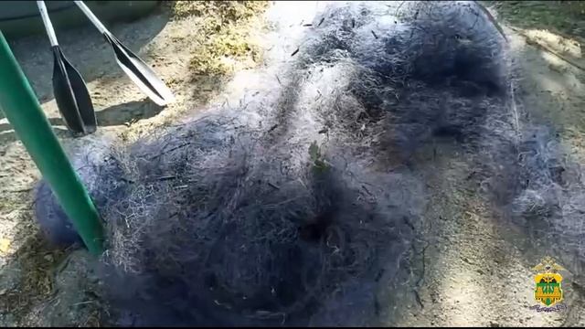 Кубанские полицейские пресекли деятельность браконьеров