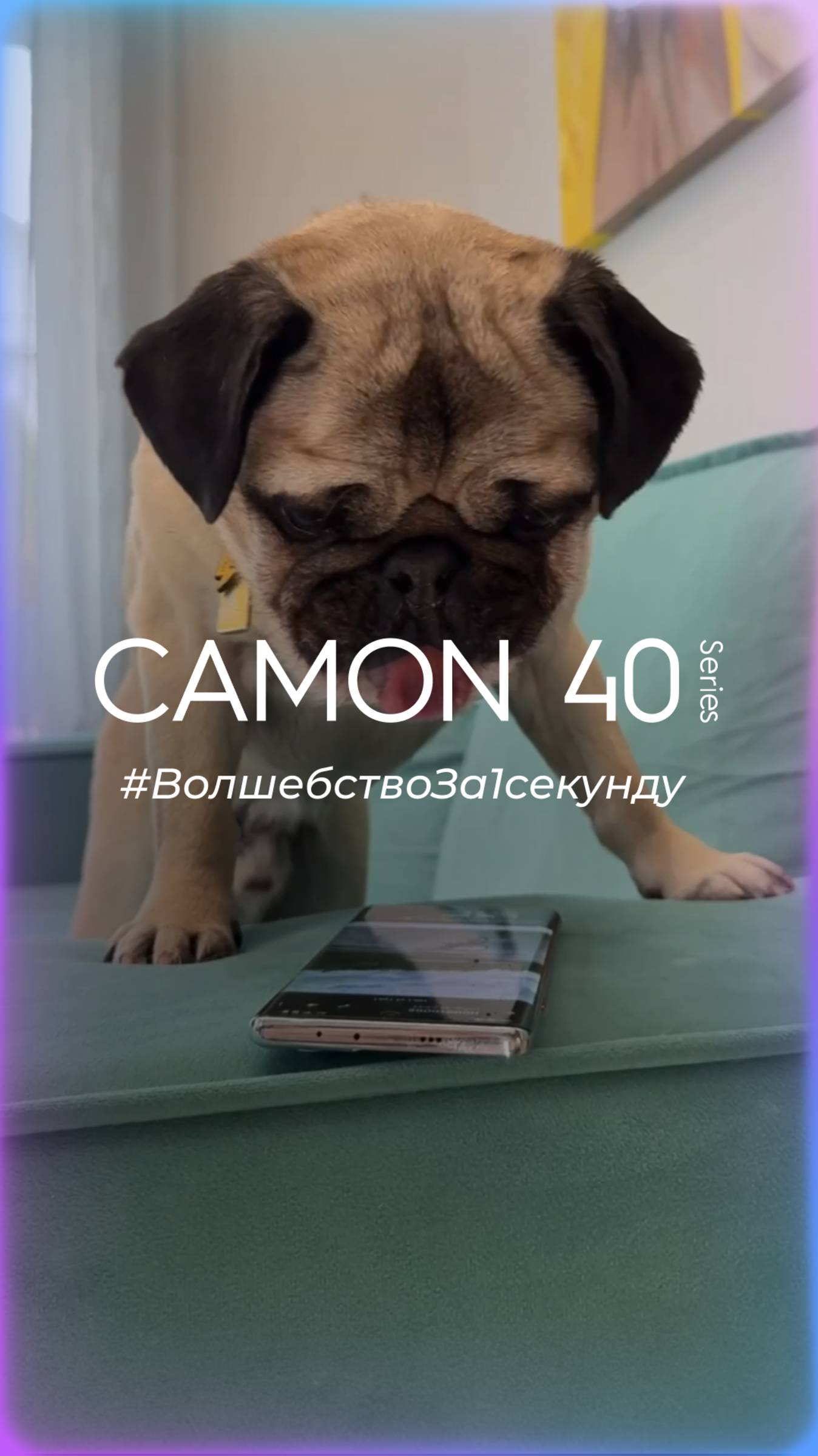 Как собаки могут использовать TECNO Camon 40? #TECNO_AI