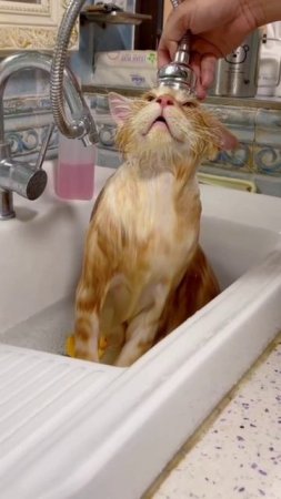 С добрым утром 😀