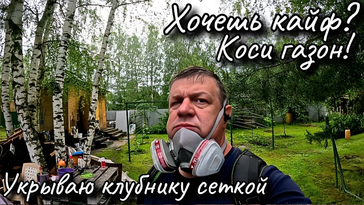 Как спасти клубнику от птиц и пересадить кроликов: советы и секреты!