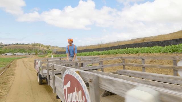 Блиппи изучает полезную еду на ферме Танаки | Блиппи на Русском