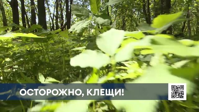 Опасные ягоды: Роспотребнадзор предупреждает нижнекамцев об опасности уличной торговли