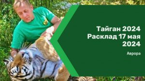 #Аврора #гадание Тайган 2024