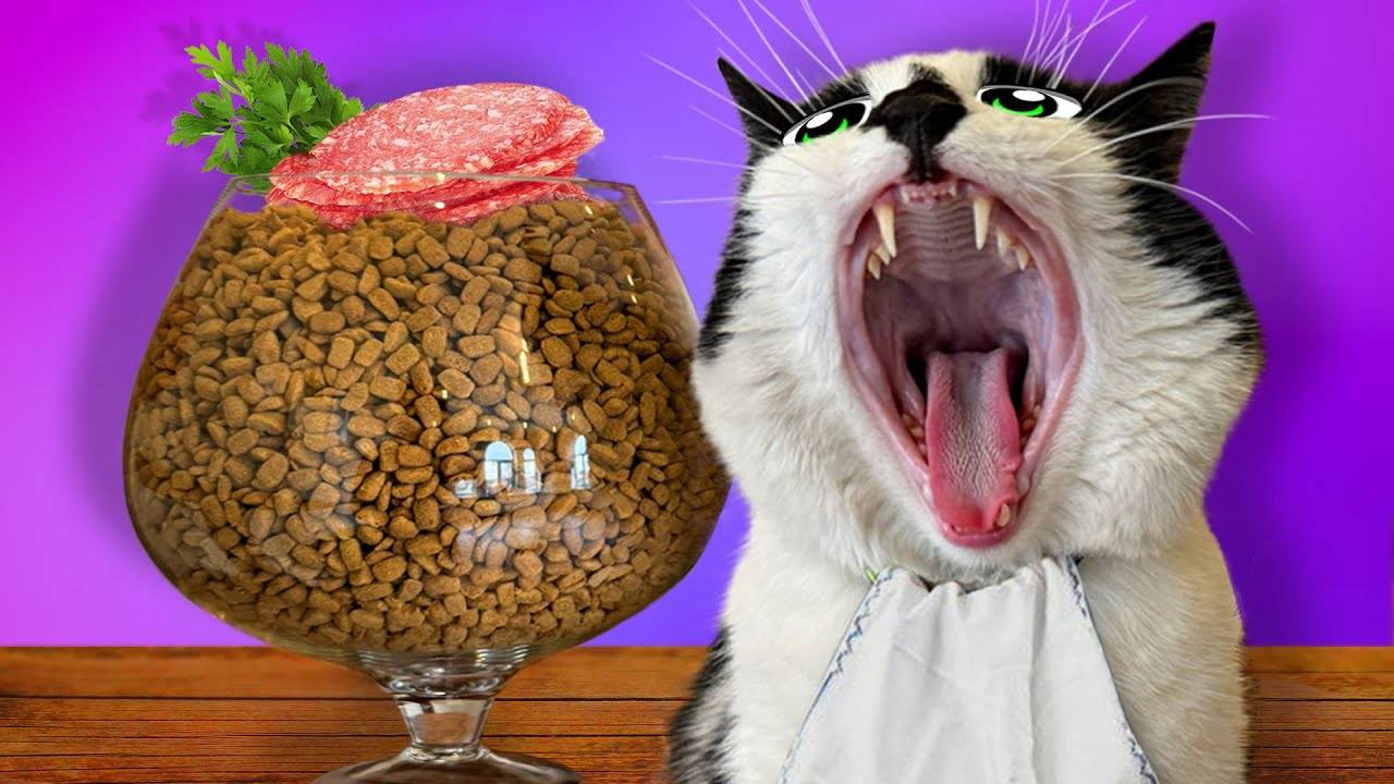 КТО СЪЕСТ КОЛБАСКУ ИЗ ЛОВУШКИ?! 😼🐾 Неожиданный победитель!