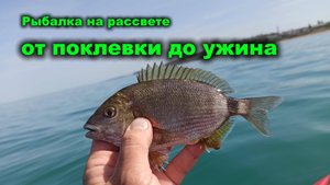 Рыбалка на рассвете от поклевки до ужина