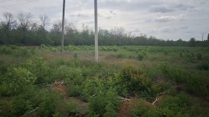 промка, шахты. полцены