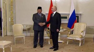 Владимир Путин встретился с президентом Индонезии