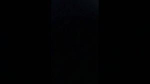 давайте я вам музыку а вы мне пожалуйста 800 пдп (автор на самом деле хочет тысячу 👉👈)