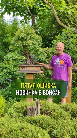 Пятая ошибка новичка в #бонсай