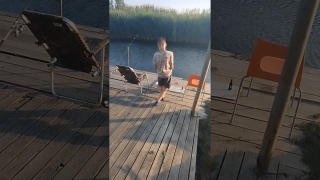 Поймал карася на пирсе. Рыбалка. День второй 17.06.2025. Краснодарский край.Станица Гривенская.