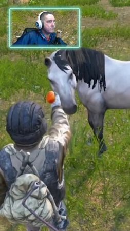 Как научить ЕСТЬ лошадь ЛАЙФАК