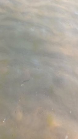 Море.