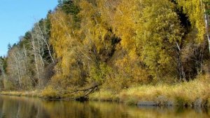 Осеннее злато