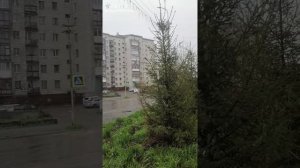 fe2976af-db8e-4f33-8a8c-461130a5cea2-watermark.mp4 Елена Дружиненко Воркута