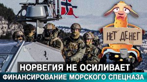 Норвегия не осиливает финансирование своего морского спецназа