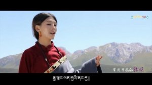 བོད་གཞས་གསར་པ་༢༠༢༠༼མདུད་པ་།༽གཞས་མ། བསམ་གཏན་ལྷ་མོ། Samten lhamo 2020 叁丹拉毛 - ཁ་བ་རི་པ་ ༡༣༧༦