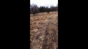 Популярная песня от Максима Морозова и Марины Ти.