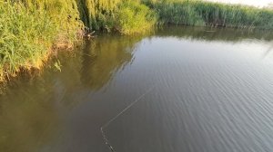 рыбачу на донку! Разрядился телефон но заснять успел!