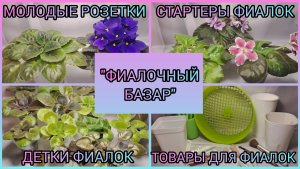 "ФИАЛОЧНЫЙ БАЗАР'' - продажа фиалок. Товары для фиалок.