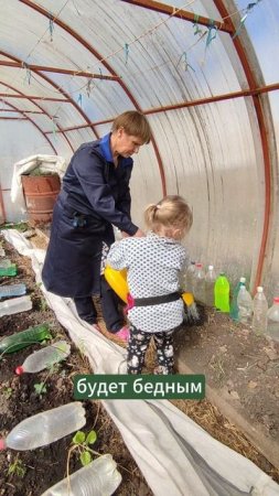 Поливаем только холодной водой