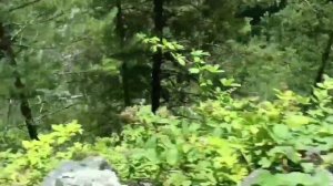 Абхазия. Джипинг.. Если вам хочется экстрима, то он вам обеспечен. Ваша жизнь зависит от водителя.