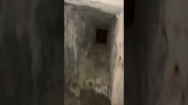 тихая охота и подземный бункер