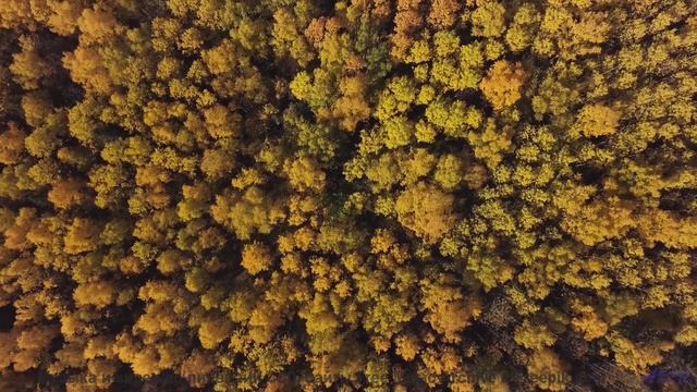 Пейзажи качают сердце, как волны качают море - Old Age -- HoliznaCC0 -- Only In The Milky Way Part 1