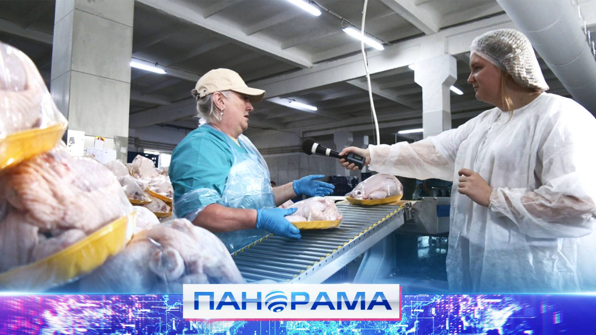 Производство комбикорма и куриной продукции: вакансии с достойной зарплатой