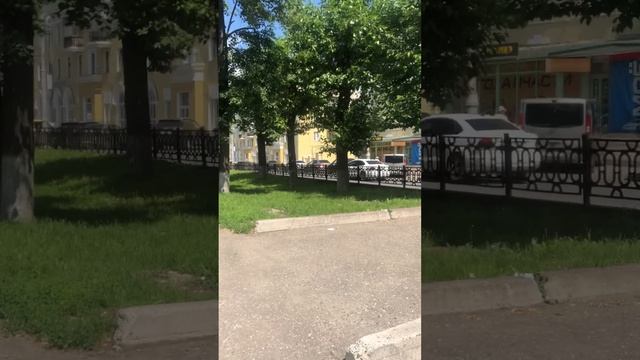 Светлая, яркая аллея и путь до дома - Velosvet: My adventures on two wheels