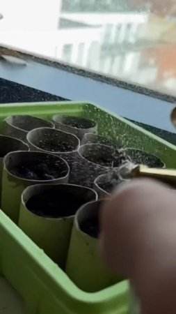 DIY Bio-degradable Pots for Plants | creative explained