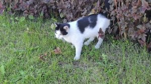 Гаврилов -Посад .Прогулка