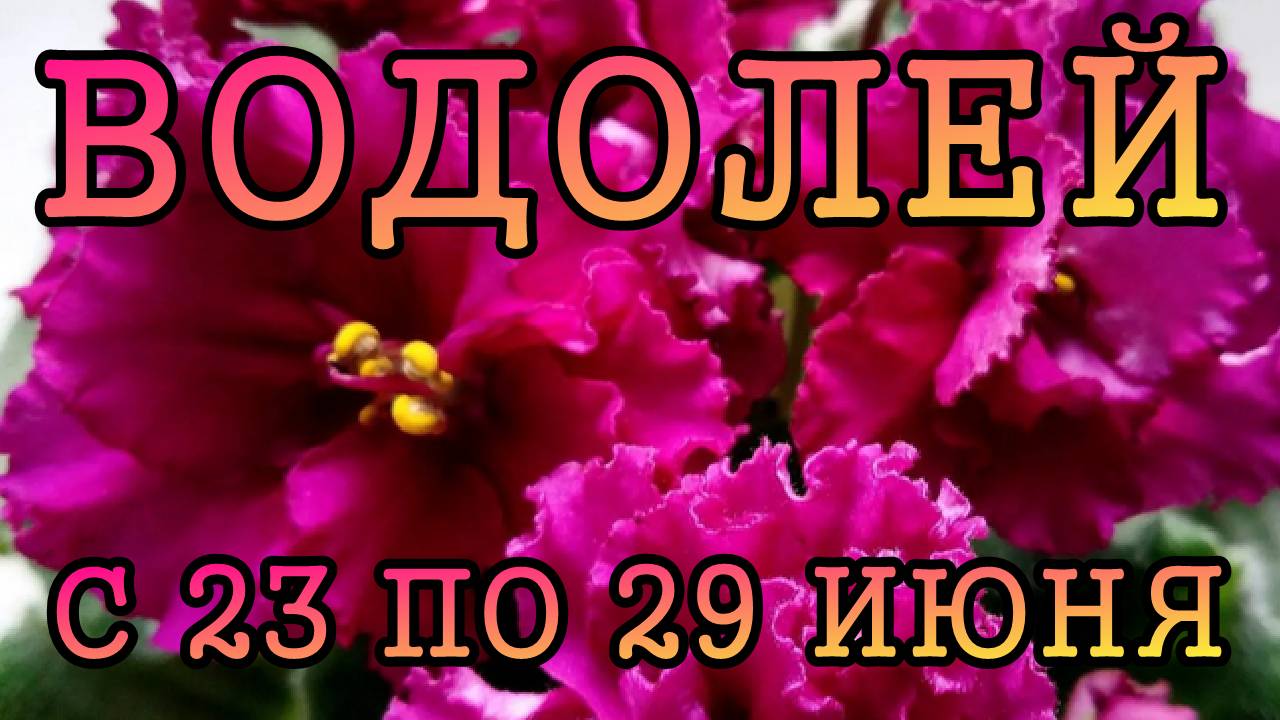 ВОДОЛЕЙ таро прогноз на неделю с 23 по 29 ИЮНЯ 2025 года.