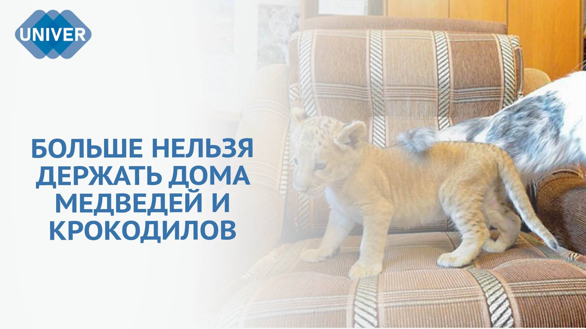 КАКИХ ЖИВОТНЫХ НЕЛЬЗЯ БУДЕТ ДЕРЖАТЬ ДОМА С 1 СЕНТЯБРЯ?