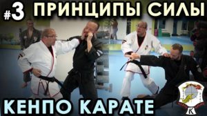 Наработка ПРИНЦИПОВ СИЛЫ техники Кенпо-Карате: семинар Ингмара ЙОХАНСОНА – 3.