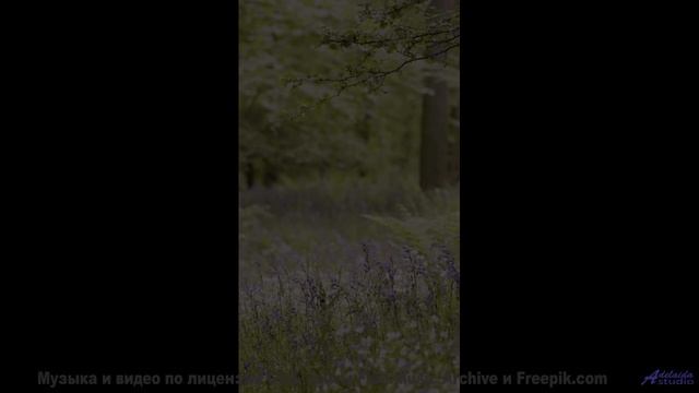Ты будешь благодарить меня за то, что показал тебе это! - Daydreamer -- M33 Project -- Unnamed album