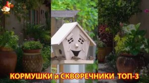 Кормушки и скворечники своими руками для птиц ТОП-3 (77) 🪚🪛🔨 Идеи для дачи и сада пошагово ❣️