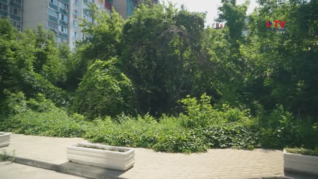 Губернские новости. 19.06.2025