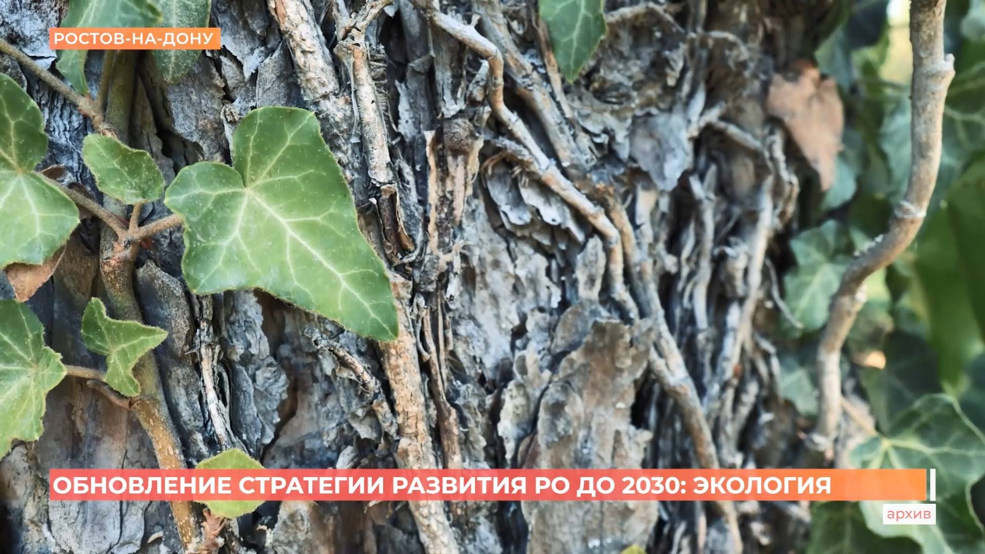 Стратегию развития Ростовской области до 2030-го года обновят