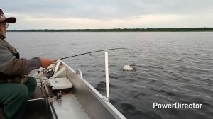 Щуки р.Свирь