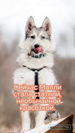 Приходи за дружбой