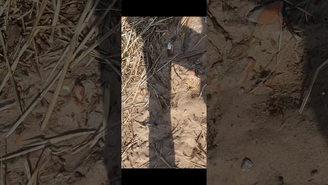 последний день в питере-2 часть. смотреть онлайн