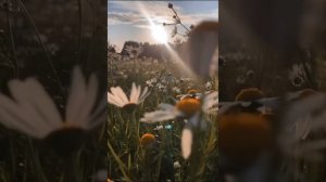 Медитация Благословение Солнца