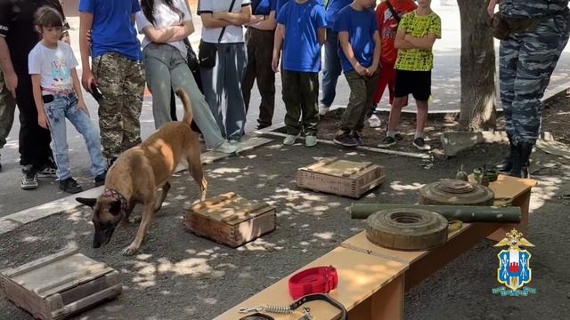 Ростовские кинологи открыли двери для юных гостей: экскурсия в Центр кинологической службы