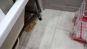 у меня лабубу